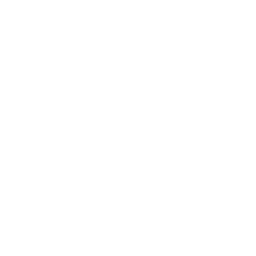 Main Logo